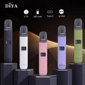 DIYA 叮啞一代皮革主機pifa-twcom