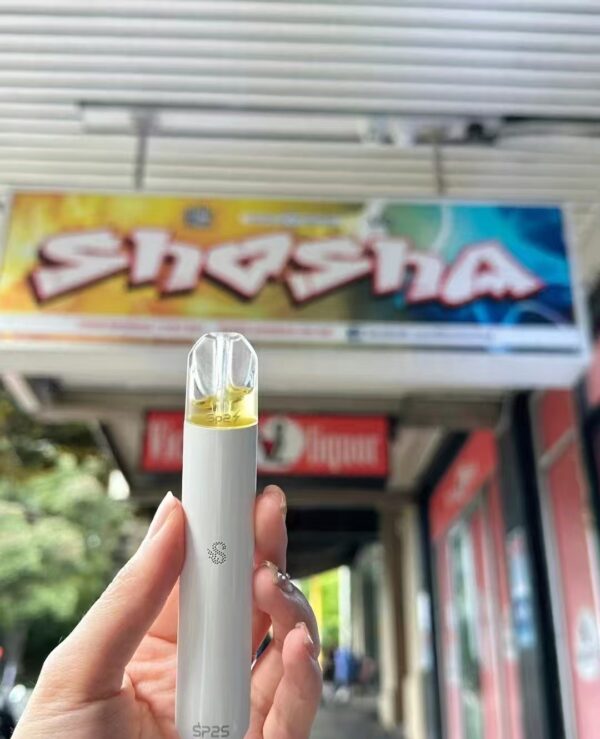 SP2S主機
